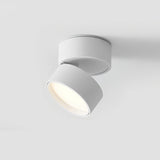 Ytmonterad LED Taklampa Carvallo