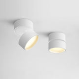 Ytmonterad LED Taklampa Carvallo