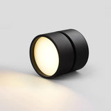 Ytmonterad LED Taklampa Carvallo