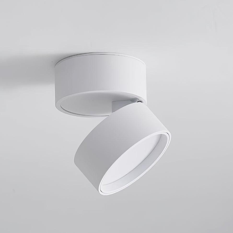 Ytmonterad LED Taklampa Carvallo