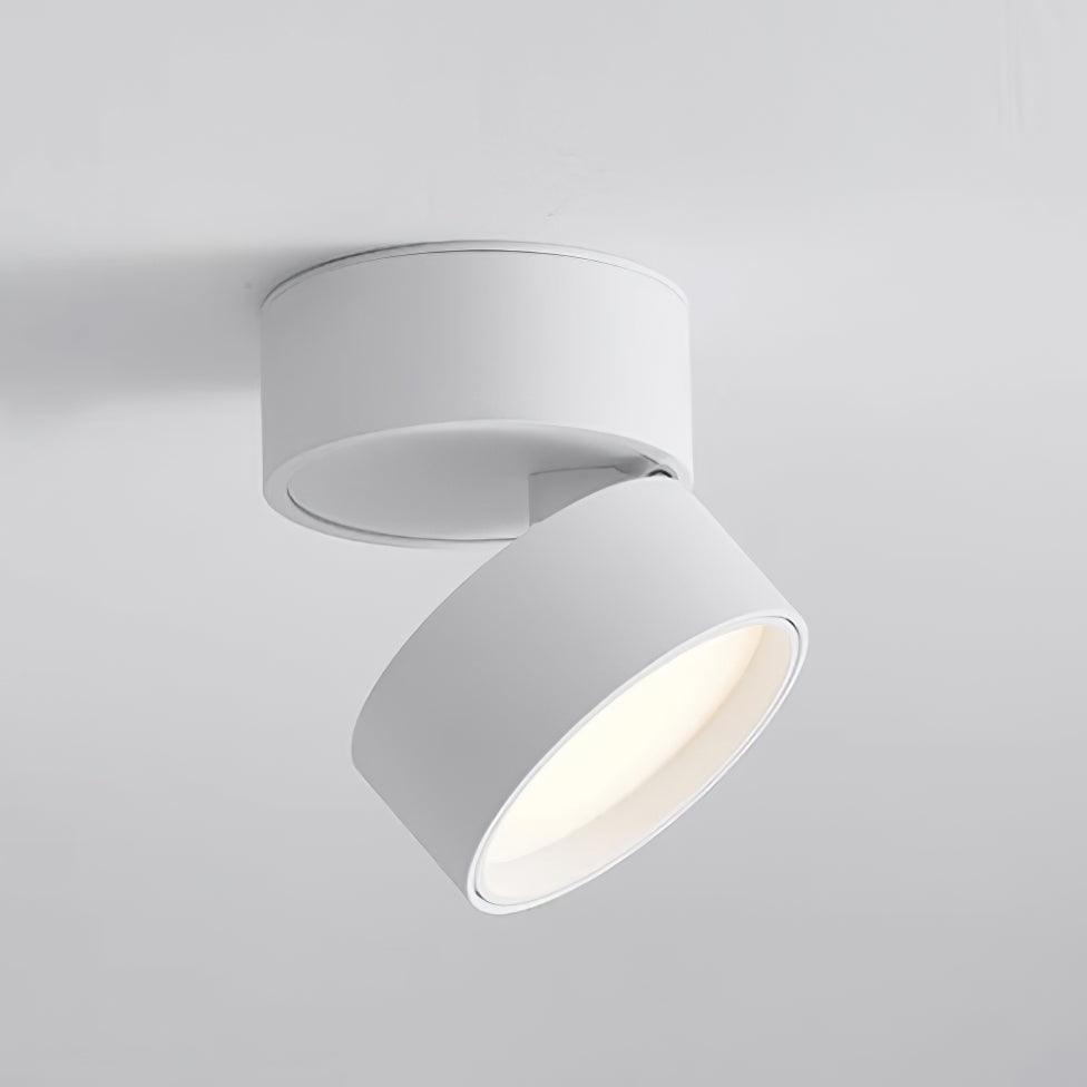 Ytmonterad LED Taklampa Carvallo