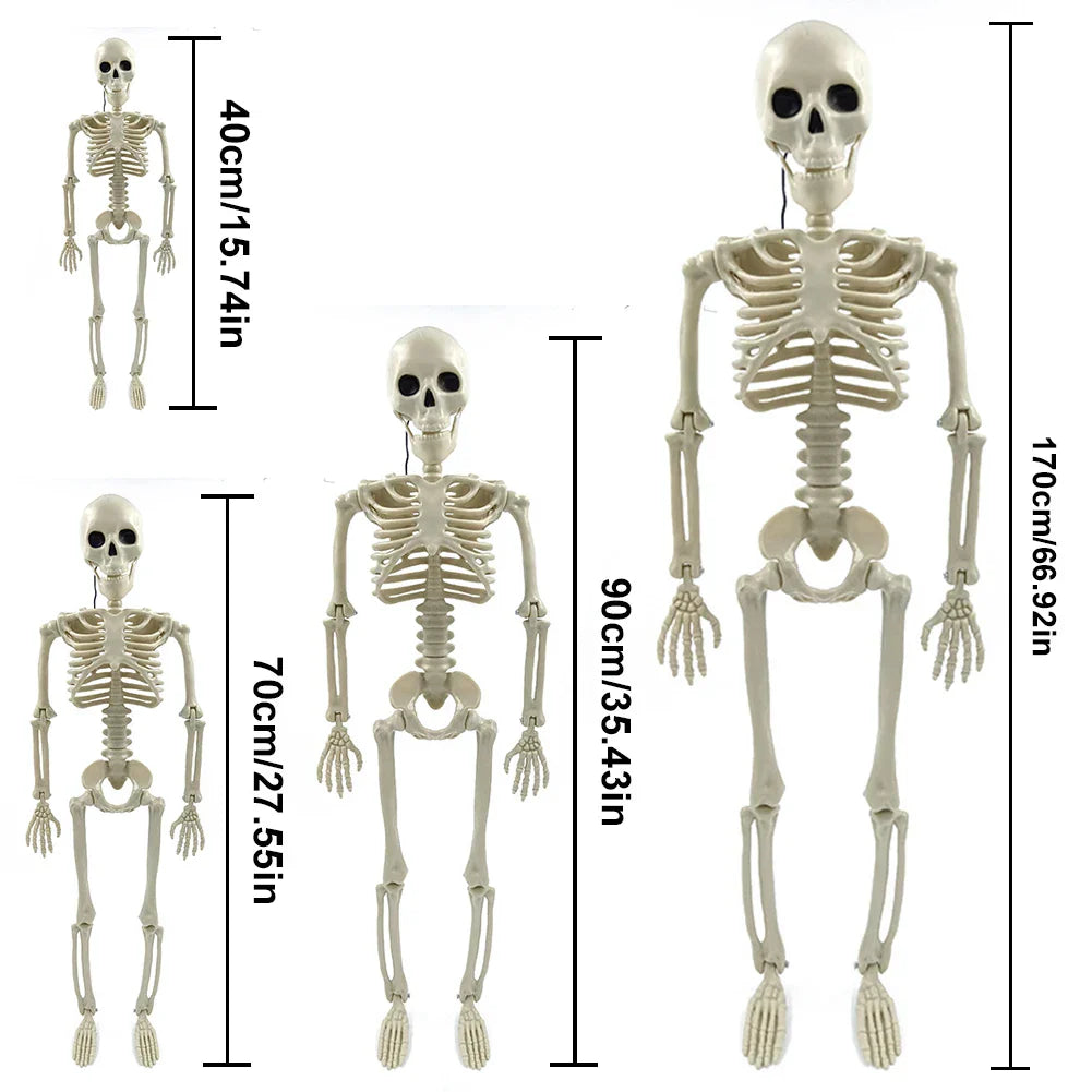Verklig liv-storlek Halloween skelettdekoration Carvallo