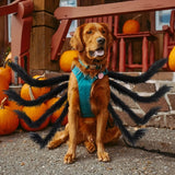 Läskig promenadhundkostym – Rolig Halloween-outfit för små husdjur MILA Sverige