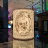 AuraSculpt – Konstnärlig 3D-tryckt Lampa Carvallo