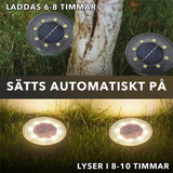 GlowPath™ - Lys upp ditt hem med stil!-TrädgårdsLivet-Hemnix