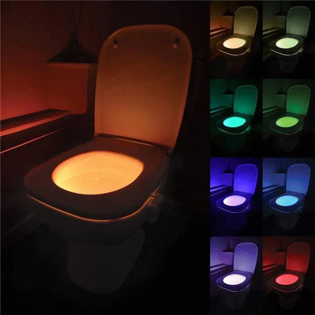 Ambient Toilet Lighting - Gör ditt badrumsbesök roligare Carvallo