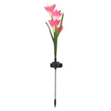 Lily Solar Garden Stake Lights-Lights-Hemnix-Rosa-Hemnix
