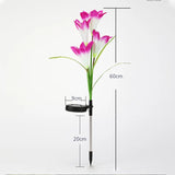 Carvallo SolarBloom Solar Trädgårdslampor LED Liljor | Dekolampa med ljussensor | För gård, gräsmatta & fester | Röd & Lila Carvallo