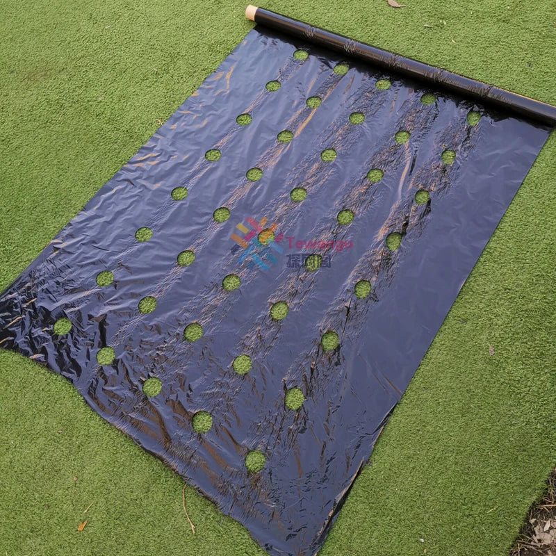 Carvallo Perforerad Agrarfolie av PE | 95 cm Bredd | För grönsaksodling & fuktskydd | Värme- & tillväxtfrämjande Carvallo