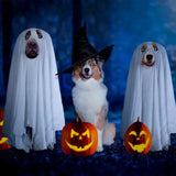 Ghost Dog Halloween-kostym Carvallo