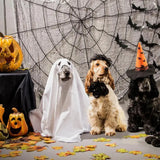 Ghost Dog Halloween-kostym Carvallo