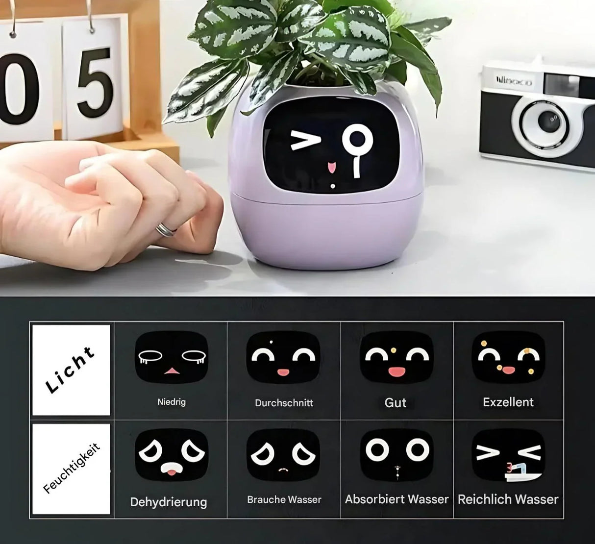 Automatisk Smart-blomkruka med bevattningssystem och LED-lampor Carvallo