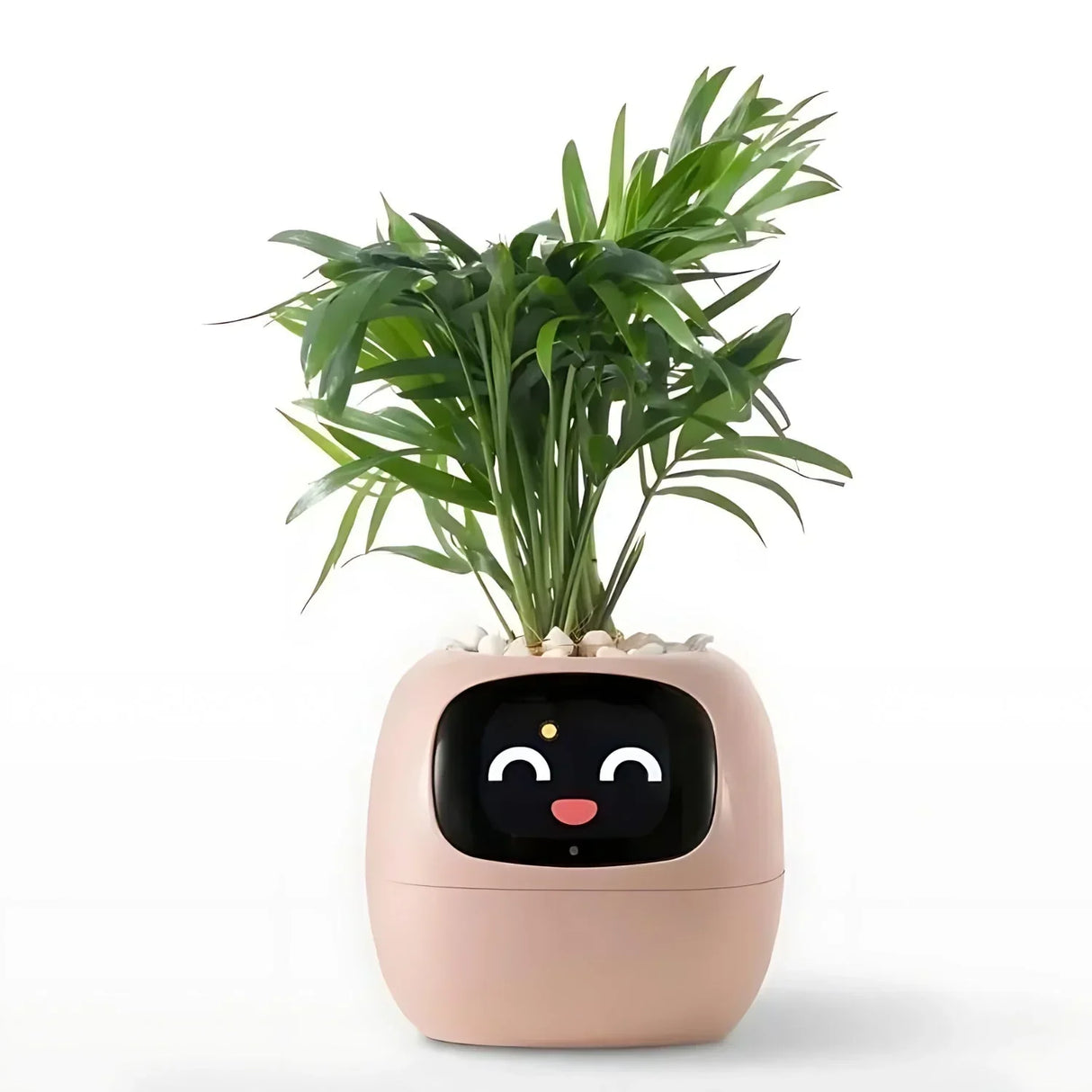 Automatisk Smart-blomkruka med bevattningssystem och LED-lampor Carvallo