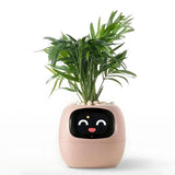 Automatisk Smart-blomkruka med bevattningssystem och LED-lampor Carvallo