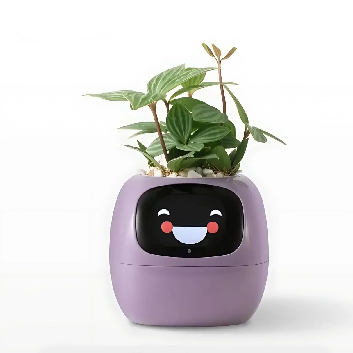 Automatisk Smart-blomkruka med bevattningssystem och LED-lampor Carvallo