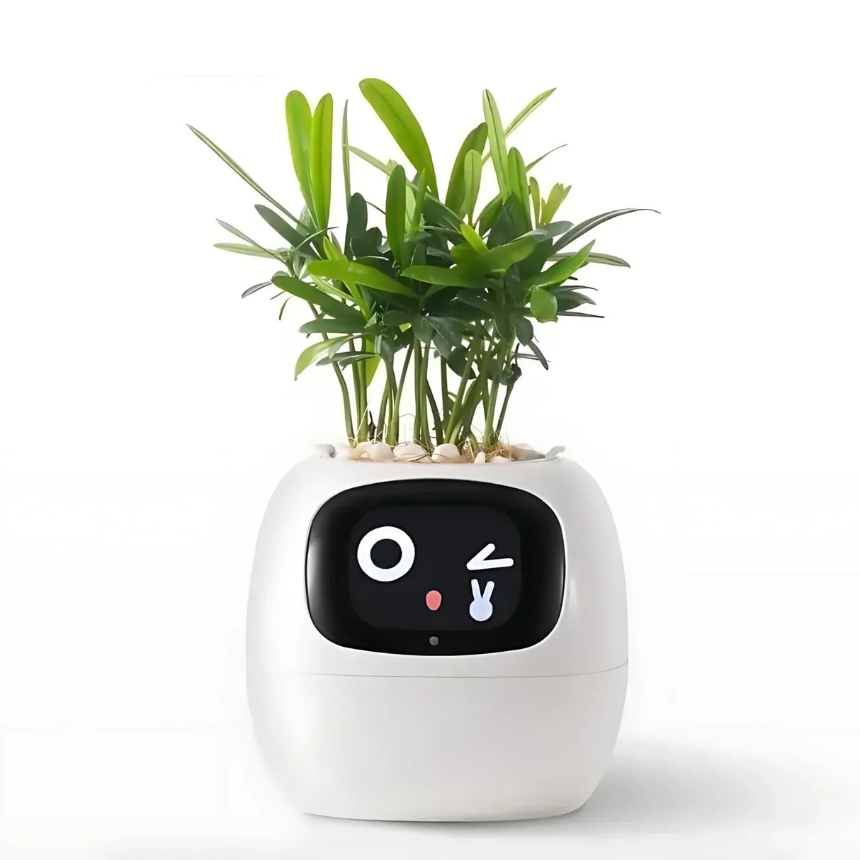 Automatisk Smart-blomkruka med bevattningssystem och LED-lampor Carvallo