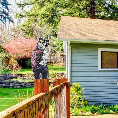 OwlGuard - Utomhus fågelavvisande ugletrappa för maximal skydd Carvallo