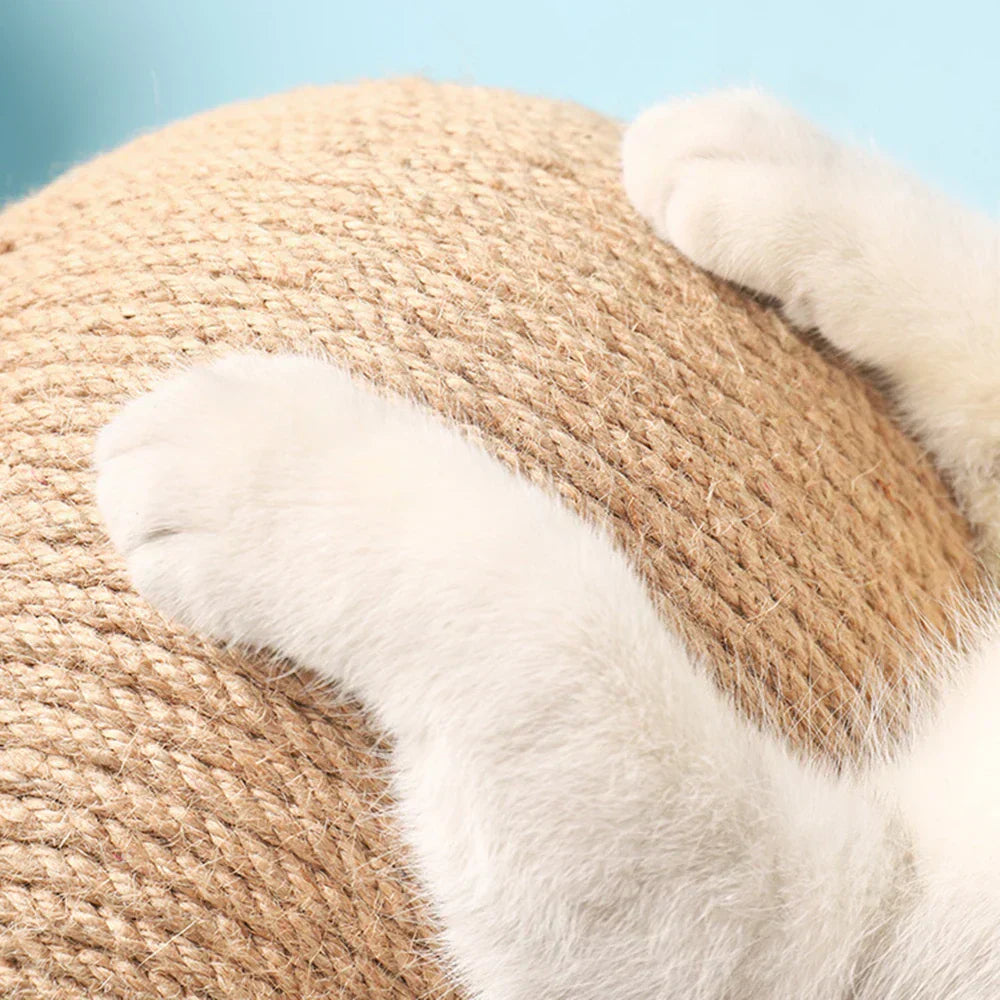 Carvallo - Abrasion-resistant toy for pets Carvallo