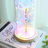 Carvallo – Lyxig Evig Ros under Glittrande Glasdome Carvallo