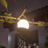 Carvallo – Dimbar Bordslampa med Stilig Frihet Carvallo