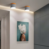 Carvallo – Minimalistisk Zylinder taklampa med Varm Ljus Accent Carvallo