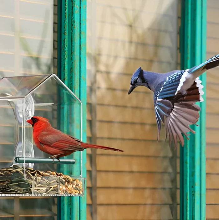 Carvallo – Transparent fönsterfågelmatare med bricka och sugförmåga Carvallo