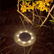 Solar Marklamp Carvallo