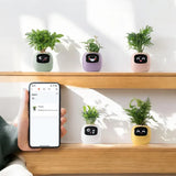 Rayvia Smart Blomkruka med AI-sensorer – Interaktiv Krukväxt för Enkel Växtskötsel Carvallo