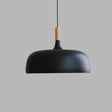 Jasper LED Pendellampa - Modern Skandinavisk Design Hänglampa, Energieffektiv Carvallo
