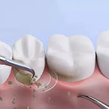 Royaleva Ultraljudsskalare för Hemmabruk Carvallo