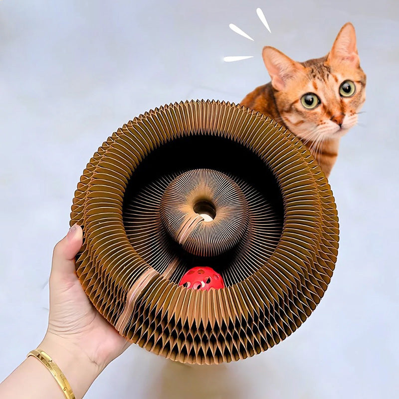 Furora Expandable Katt Klösleksak med Interaktiv Bollarbana & Mysig Säng Carvallo