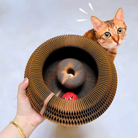 Furora Expandable Katt Klösleksak med Interaktiv Bollarbana & Mysig Säng Carvallo