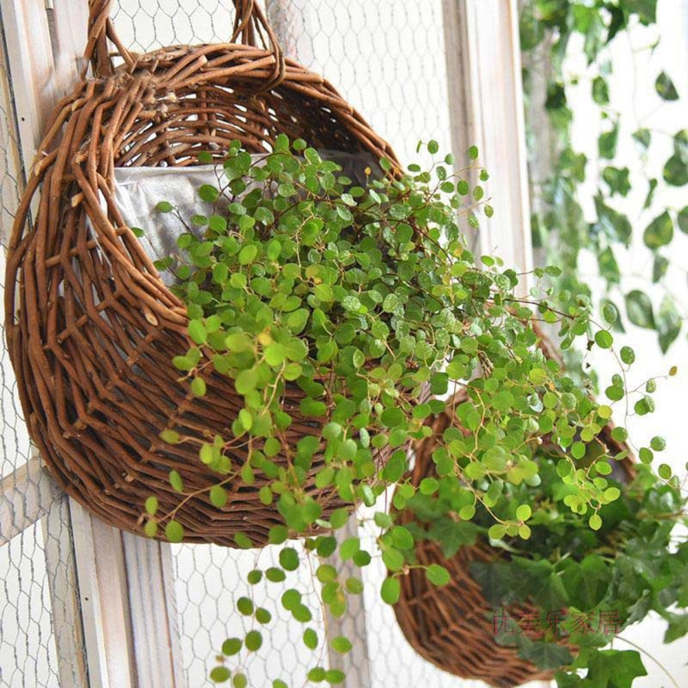 Maison Handwoven Hanging Basket Carvallo
