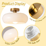 Vintage Rund Glas Taklampa Carvallo