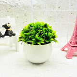 Minimalistisk konstgjord boxwood bonsai kruka dekoration Carvallo