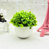 Minimalistisk konstgjord boxwood bonsai kruka dekoration Carvallo