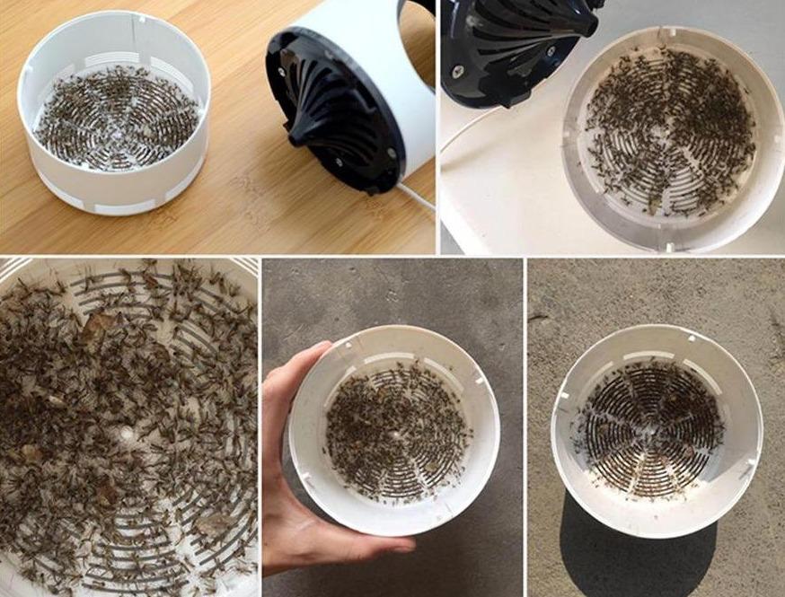 Carvallo UV Mygglampa Elektrisk | Tyst & Kemikaliefri | För Inomhusbruk | Med USB & Uppsamlingstråg Carvallo