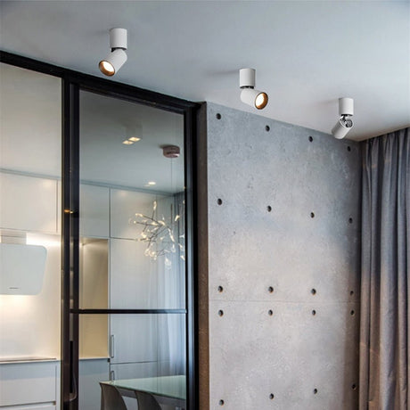 Justerbar Rund Ytmonterad Downlight för Mångsidig Belysning Carvallo