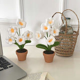 Crochet Blomkruka Dekoration Med Keramisk Bas Carvallo