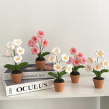 Crochet Blomkruka Dekoration Med Keramisk Bas Carvallo