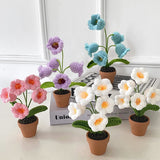 Crochet Blomkruka Dekoration Med Keramisk Bas Carvallo