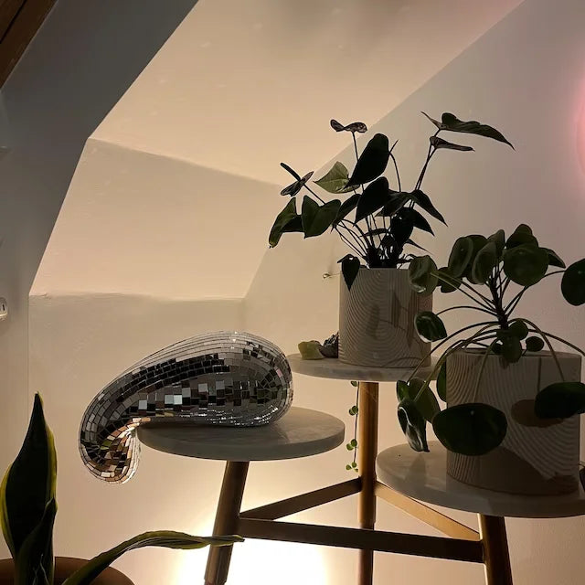 Lunar Disco Smält Dekorativ Bit för Funky Heminredning Carvallo