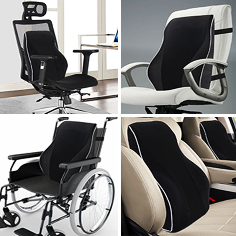 Ergonomisk ländryggsstödskudde Carvallo