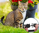 Reflekterande halsband för katt – justerbar säkerhetsrem för synlighet och komfort i mörker MILA Sverige