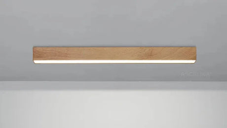 HarmonyBeam – Nästa generations LED-takbelysning Carvallo