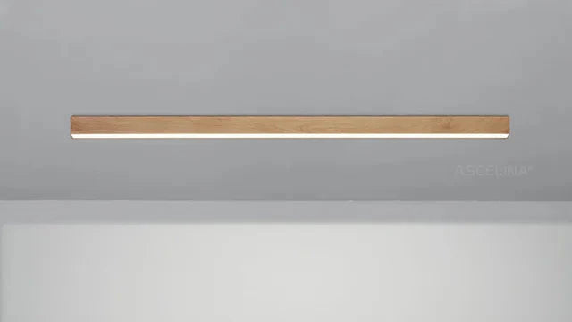 HarmonyBeam – Nästa generations LED-takbelysning Carvallo