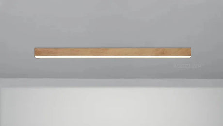 HarmonyBeam – Nästa generations LED-takbelysning Carvallo