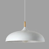 Skandinavisk Pendellampa | Ek & Järn | Justerbar Höjd | E27 Lampa | Minimalistisk Nordisk Design Carvallo