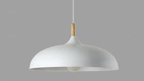 Ekfärgad Taklampa med Skandinavisk Charm Carvallo