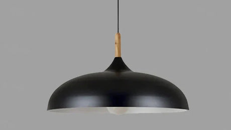 Ekfärgad Taklampa med Skandinavisk Charm Carvallo